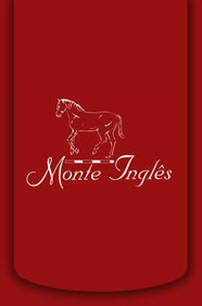 Monte Inglês